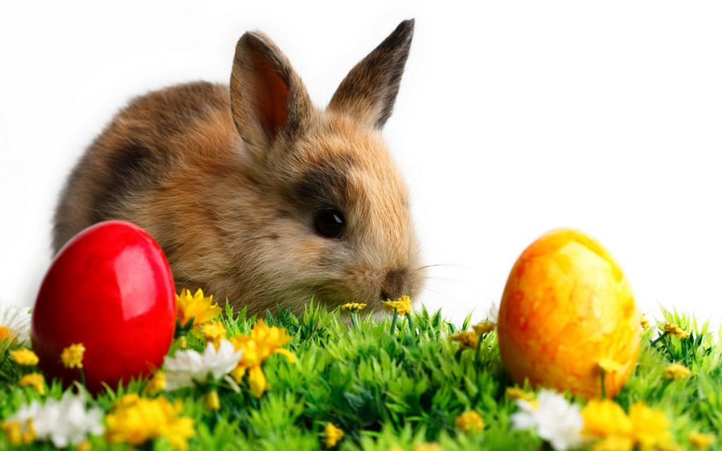 Почему пасхальный заяц или кролик символ Пасхи у католиков?
