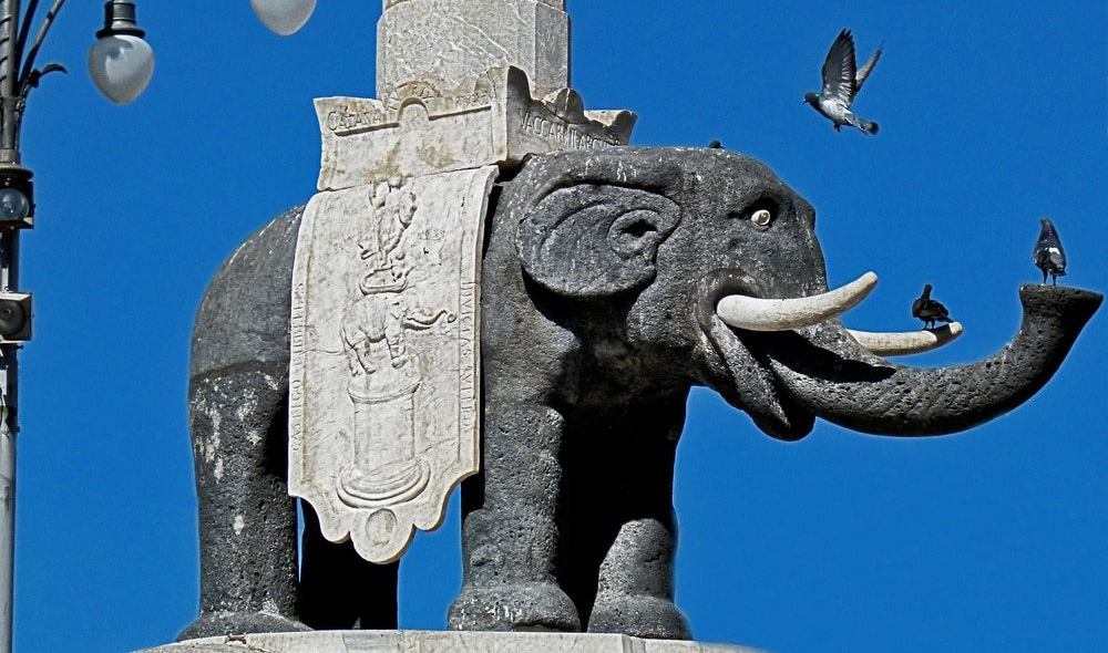 Слон – почему он символ Катании, его история и легенда происхождения!